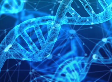 7003全讯白菜网完成近亿元 A 轮融资，加速合成生物学新产品研发生产